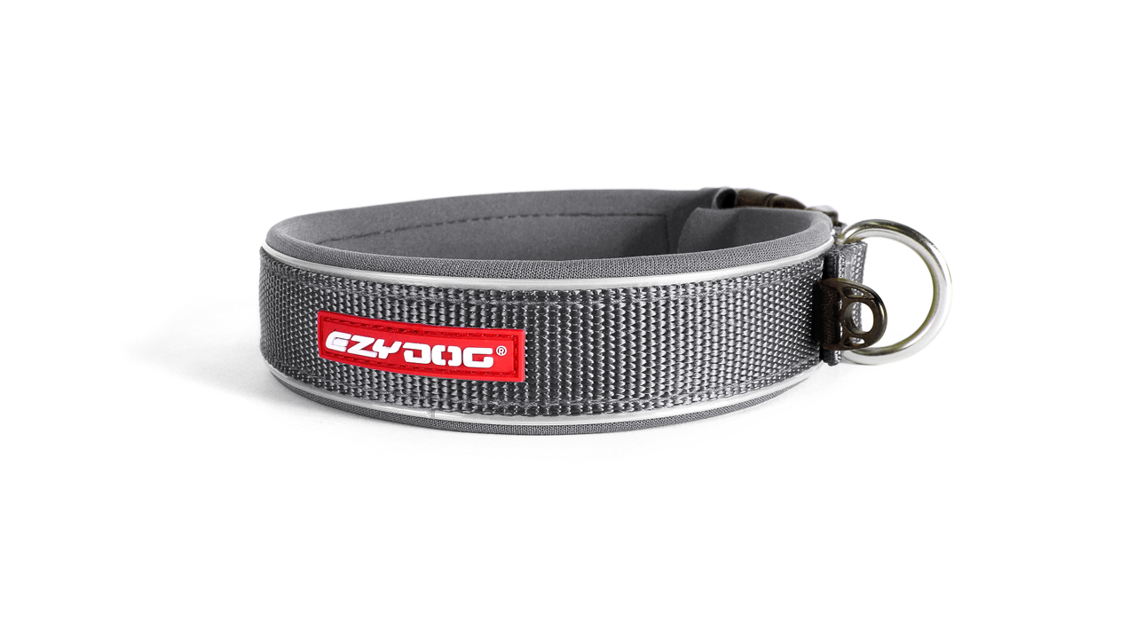 ED Collar Neo Classic -Grey