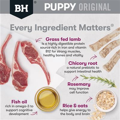 BLACK HAWK PUPPY SMALL BREED - LAMB AND RICE
