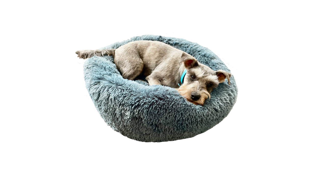 Calming Pet Bed Bleu Ocean