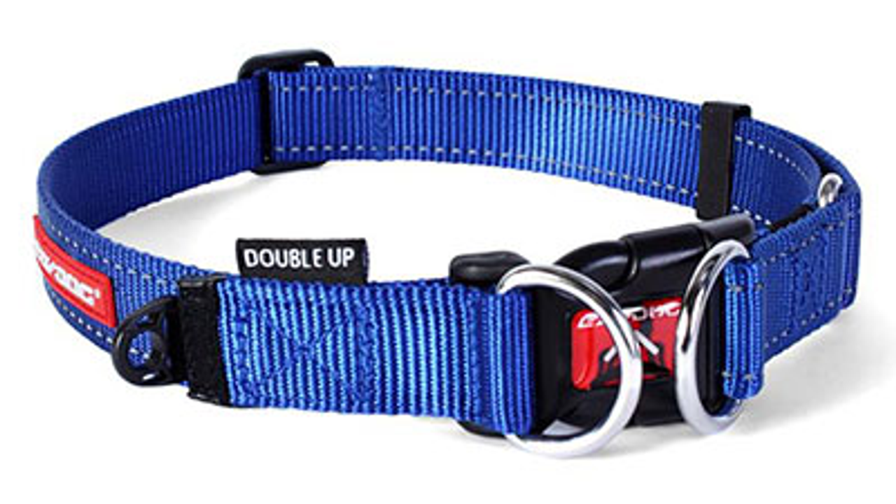 ED Collar Double Up BLUE