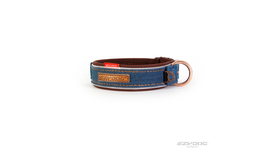 Collar Neo Classic-Denim
