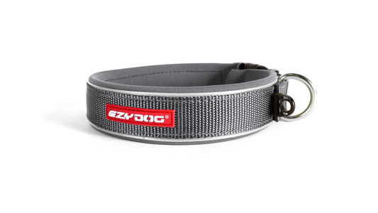 ED Collar Neo Classic -Grey