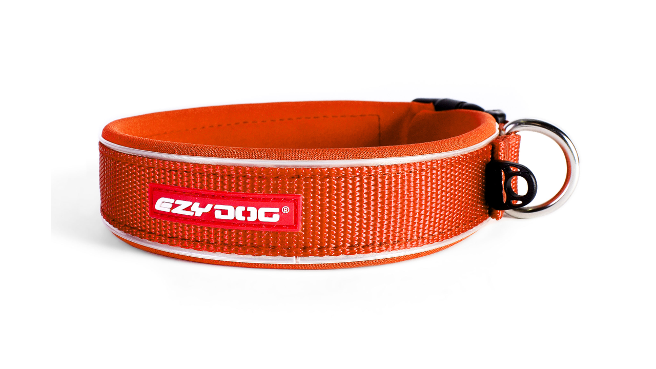 ED Collar Neo Classic -Orange