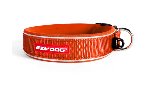 ED Collar Neo Classic -Orange