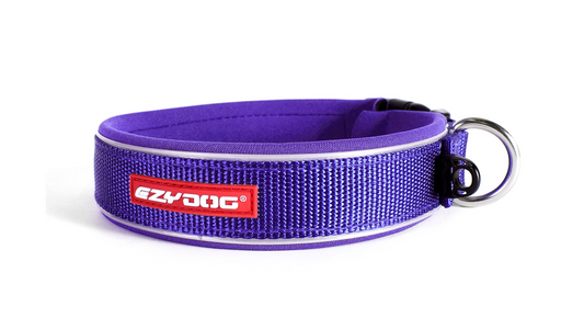 ED Collar Neo Classic -Purple