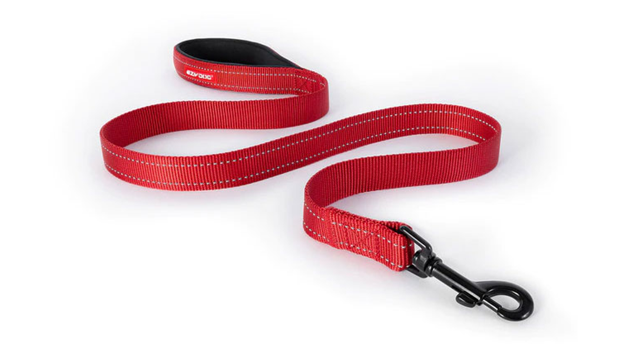 ED Essential Leash 120cm-RED