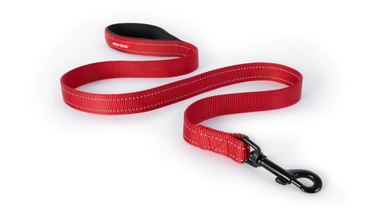 ED Essential Leash 120cm-RED