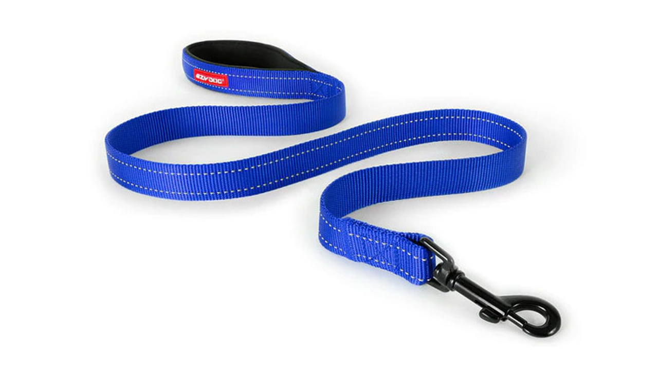 ED Essential Leash 120cm-BLUE