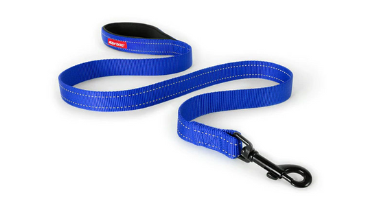ED Essential Leash 120cm-BLUE