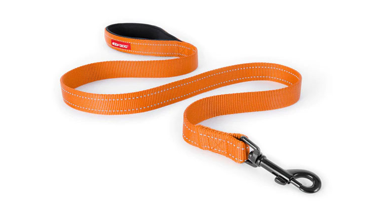 ED Essential Leash 120cm-ORANGE