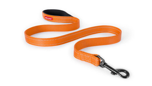 ED Essential Leash 120cm-ORANGE