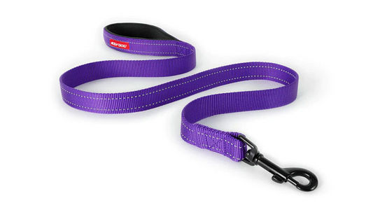 ED Essential Leash 120cm-PURPLE