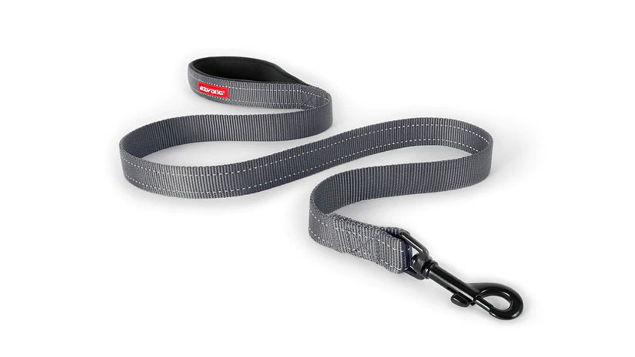 ED Essential Leash 120cm-GREY