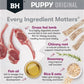 BLACK HAWK PUPPY SMALL BREED - LAMB AND RICE