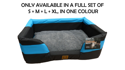 Rectangle Bed - cyan blue/black