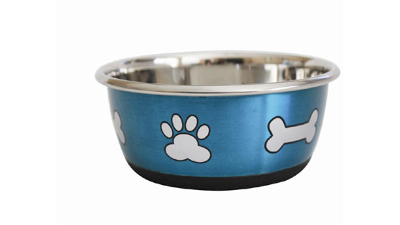 Durabolz Paw & Bone - Metallic Blue 500mL