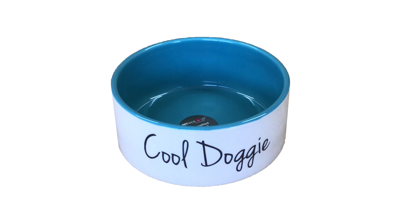 Cool Doggie Bowl - Natural/Teal ^15cm