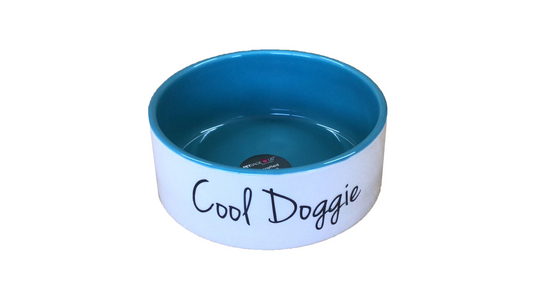 Cool Doggie Bowl - Natural/Teal ^15cm