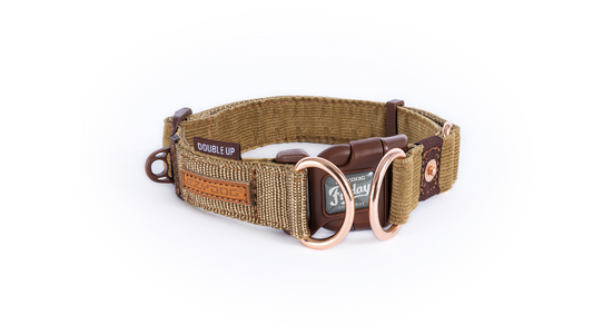 ED Collar Double Up CORDUROY