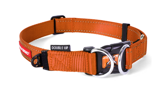 ED Collar Double Up ORANGE