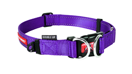ED Collar Double Up PURPLE