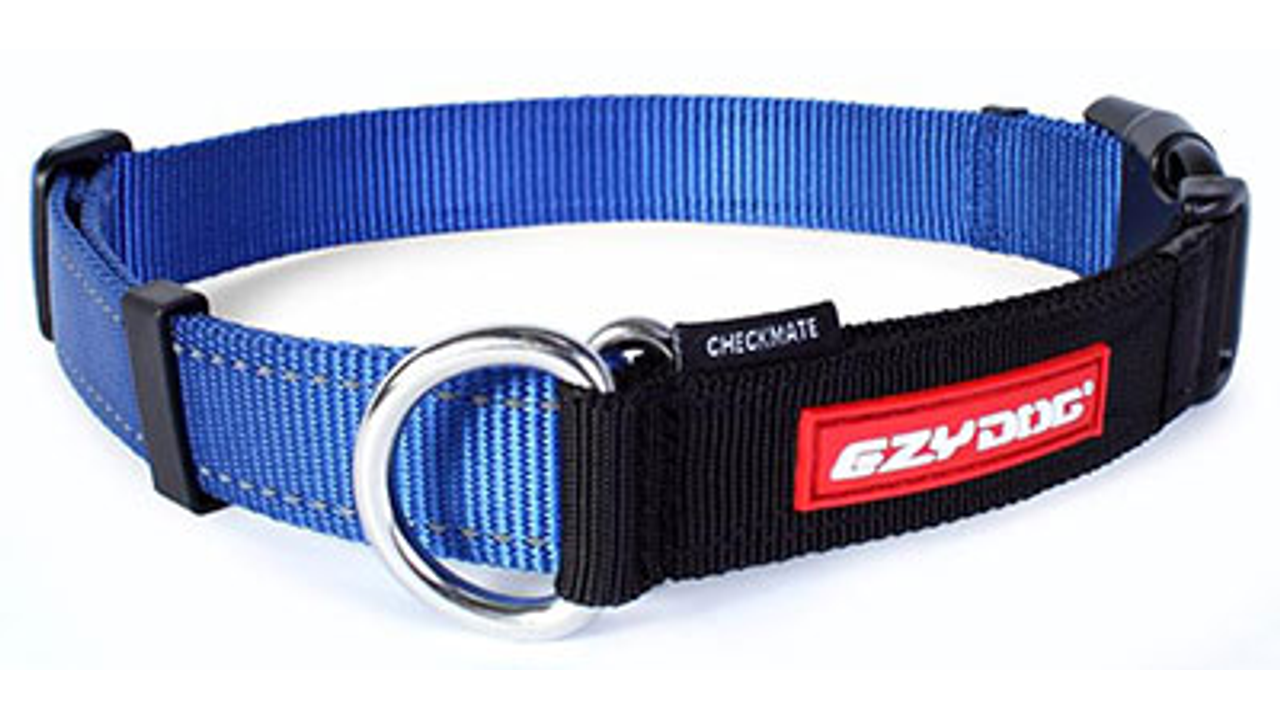 ED Collar Checkmate Blue
