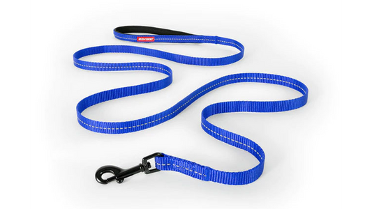 ED Essential LITE Leash 180cm-BLUE
