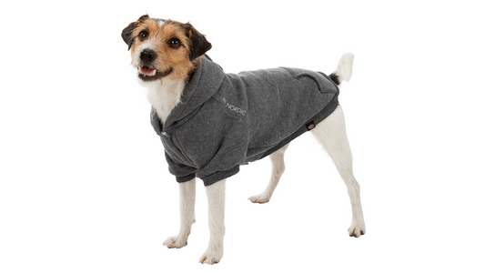 BE NORDIC Hoodie Grey