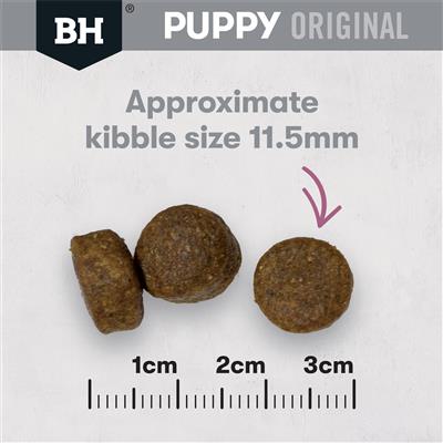 BLACK HAWK PUPPY LARGE BREED LAMB AND RICE