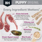 BLACK HAWK PUPPY LARGE BREED LAMB AND RICE