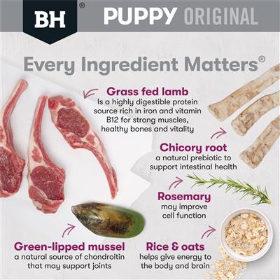 BLACK HAWK PUPPY LARGE BREED LAMB AND RICE