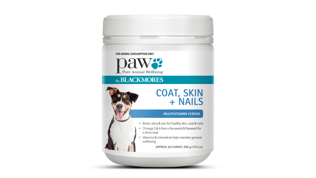 PAW Coat Skin Nails Chews 300g