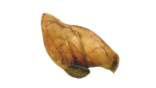 Pig Ears